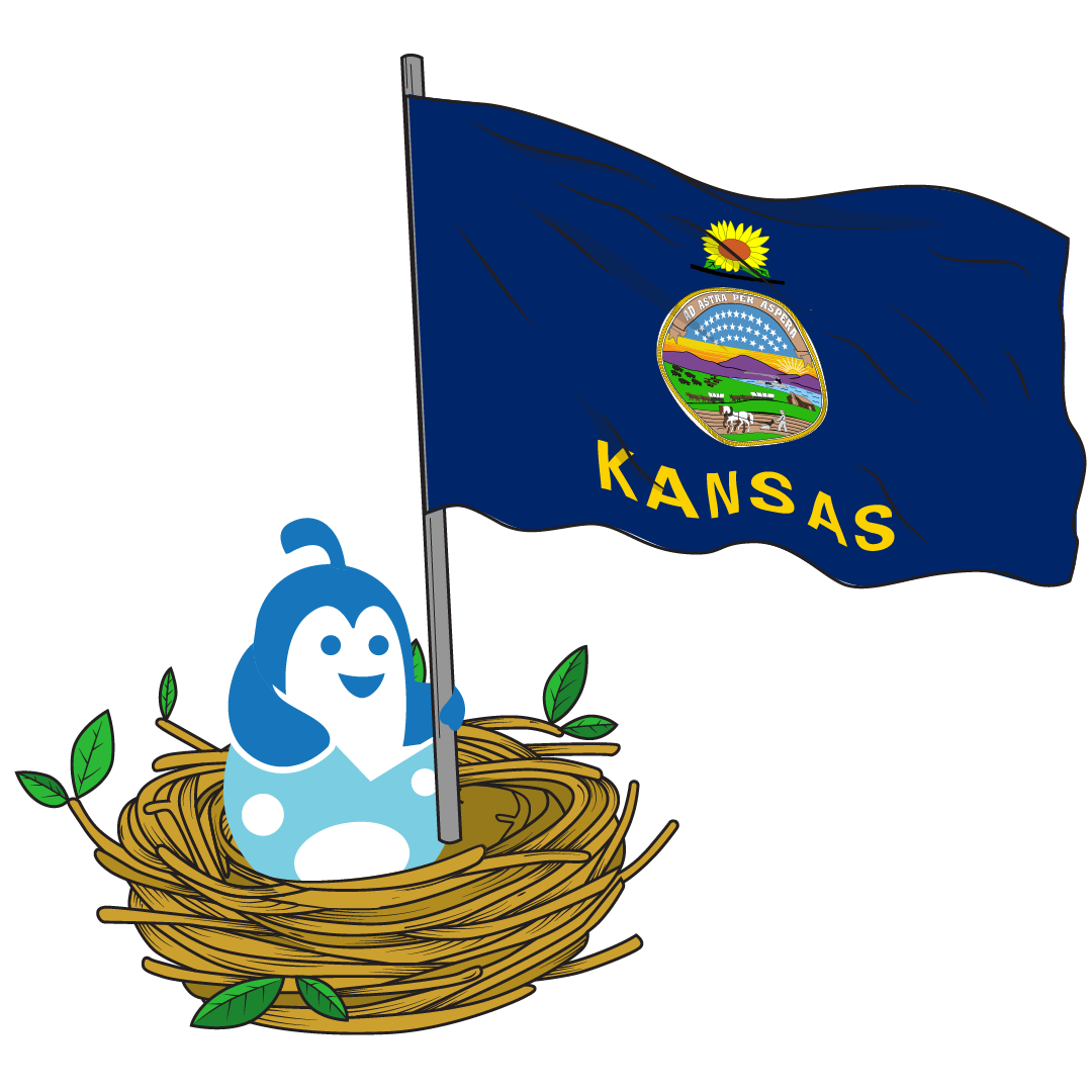 Kansas Logos illustration