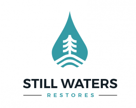Still Waters entry by Lucian Oaida