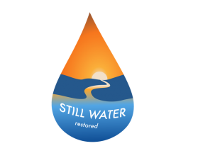 Still Waters entry by Diana Rusina