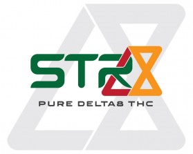 Another design by Mikeron submitted to the Logo Design for Platinum Motor Trade by lydia