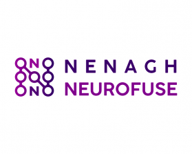 Nenagh Neurofuse entry by LizardSY