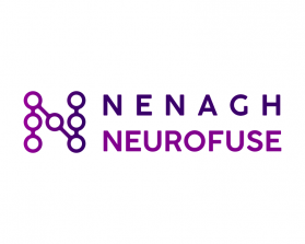 Nenagh Neurofuse entry by LizardSY
