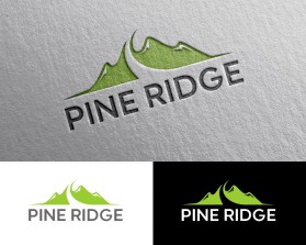Pine Ridge entry by Tony Berliana