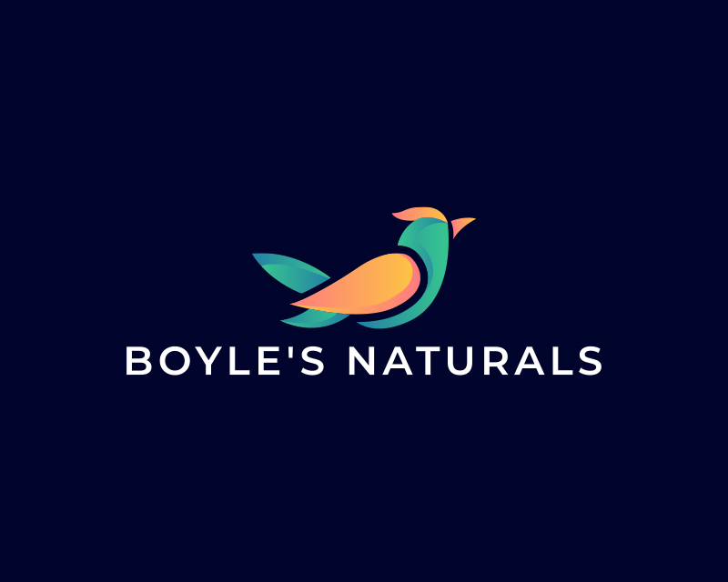 Colorful Bird Logo Design
