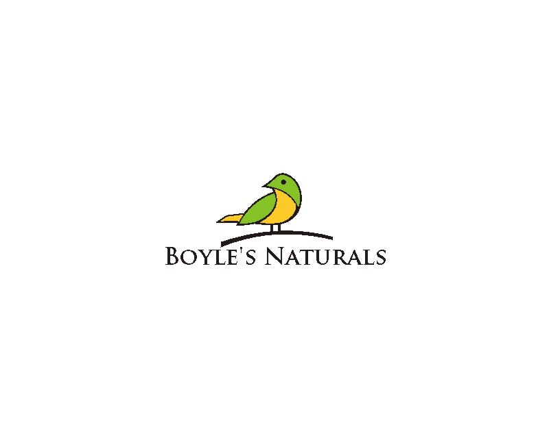 Cartoon-Style Bird Logo