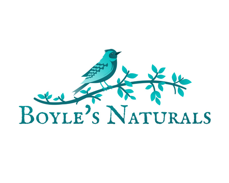 Blue Bird Logo Design