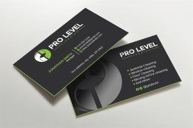 Pro Level Cleaning entry by Amit1991