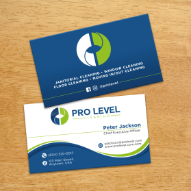 Pro Level Cleaning entry by FMR Designer