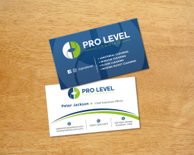Pro Level Cleaning entry by FMR Designer