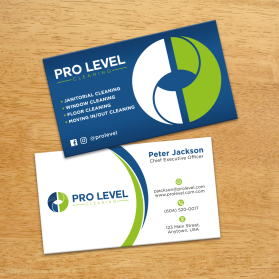 Pro Level Cleaning entry by FMR Designer