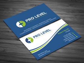Pro Level Cleaning entry by skyford412