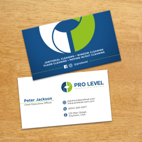 Pro Level Cleaning entry by FMR Designer