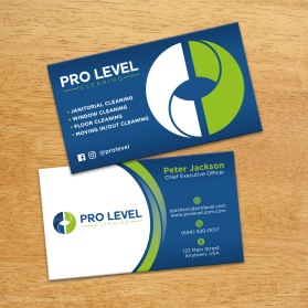 Pro Level Cleaning entry by FMR Designer