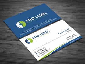Pro Level Cleaning entry by skyford412