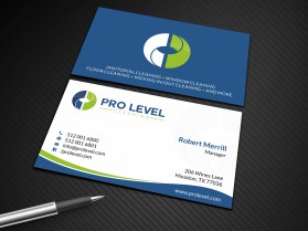 Pro Level Cleaning entry by skyford412
