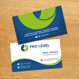 Pro Level Cleaning entry by FMR Designer