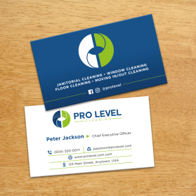 Pro Level Cleaning entry by FMR Designer