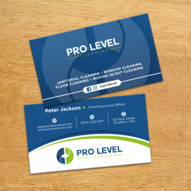 Pro Level Cleaning entry by FMR Designer