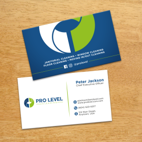 Pro Level Cleaning entry by FMR Designer