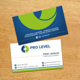 Pro Level Cleaning entry by FMR Designer