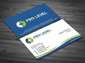 Pro Level Cleaning entry by skyford412