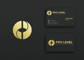 Pro Level Cleaning entry by virus99