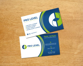 Pro Level Cleaning entry by FMR Designer