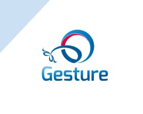 Gesture entry by jivoc2011
