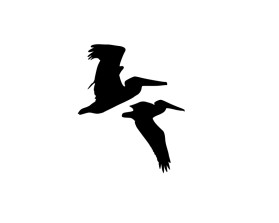 Graphic Design entry 2462012 submitted by SepArt71 to the Graphic Design for HCB Yachts run by lakeview marine