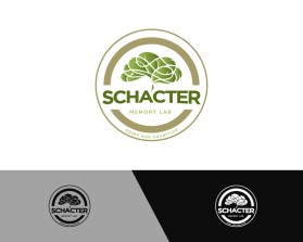 Schacter Memory Lab entry by rie_nov