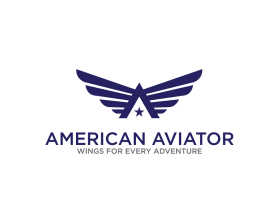 American Aviator entry by 72aa