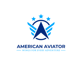 American Aviator entry by fathur