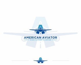 American Aviator entry by saleh