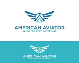 American Aviator entry by 72aa