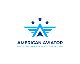 American Aviator entry by fathur