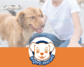 Rogers' Rescues entry by Teodor