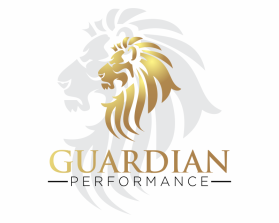 Guardian Performance entry by Jarvvo