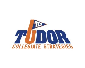 Tudor Collegiate Strategies entry by NorbertoPV