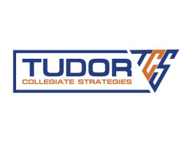 Tudor Collegiate Strategies entry by MuhammadR