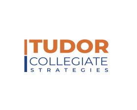 Tudor Collegiate Strategies entry by Art Billionaires