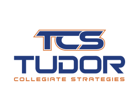 Tudor Collegiate Strategies entry by jannatan