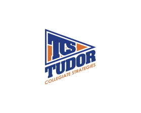 Tudor Collegiate Strategies entry by andsue