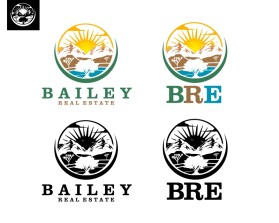 Bailey Real Estate Investments entry by Estéfano Burmistrov