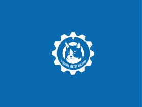 Support Vector Machine entry by SALIENT
