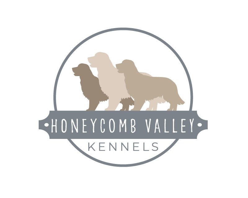 Logo Design entry 2649575 submitted by vadajs