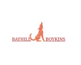 Logo Design entry 2660525 submitted by Dammyj007