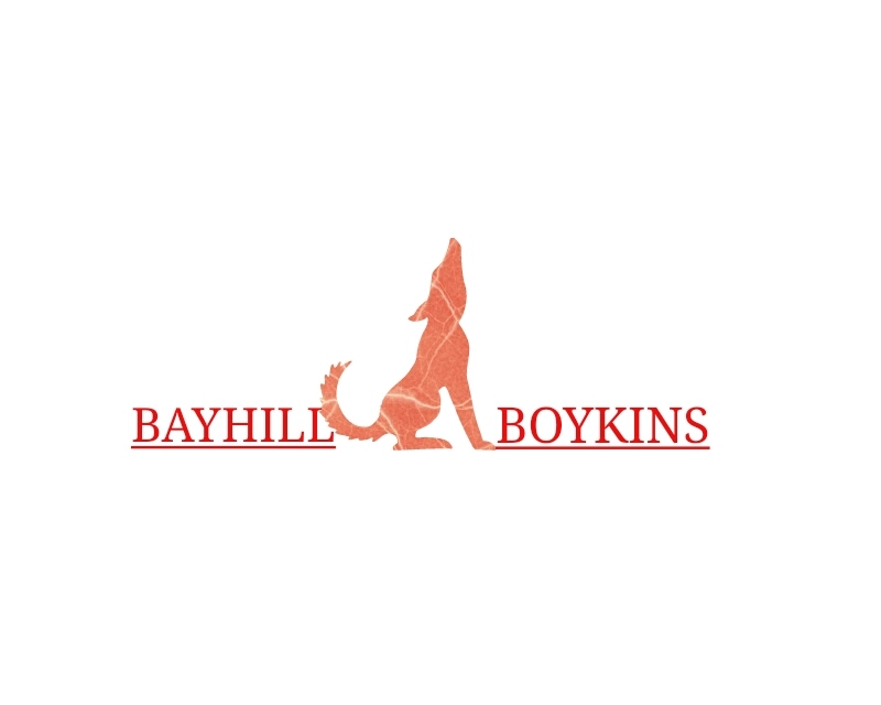 Logo Design entry 2660525 submitted by Dammyj007