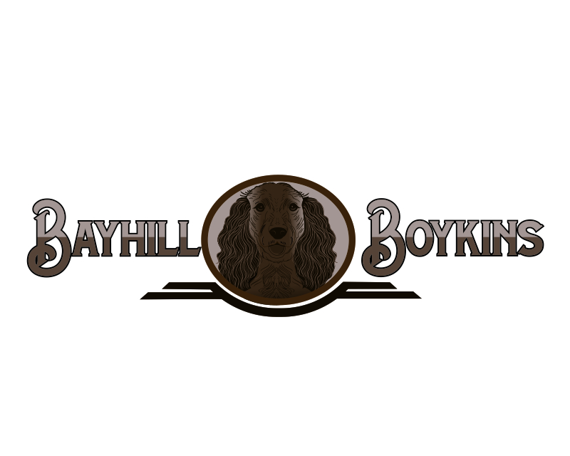 Logo Design entry 2652216 submitted by Ilham Fajri