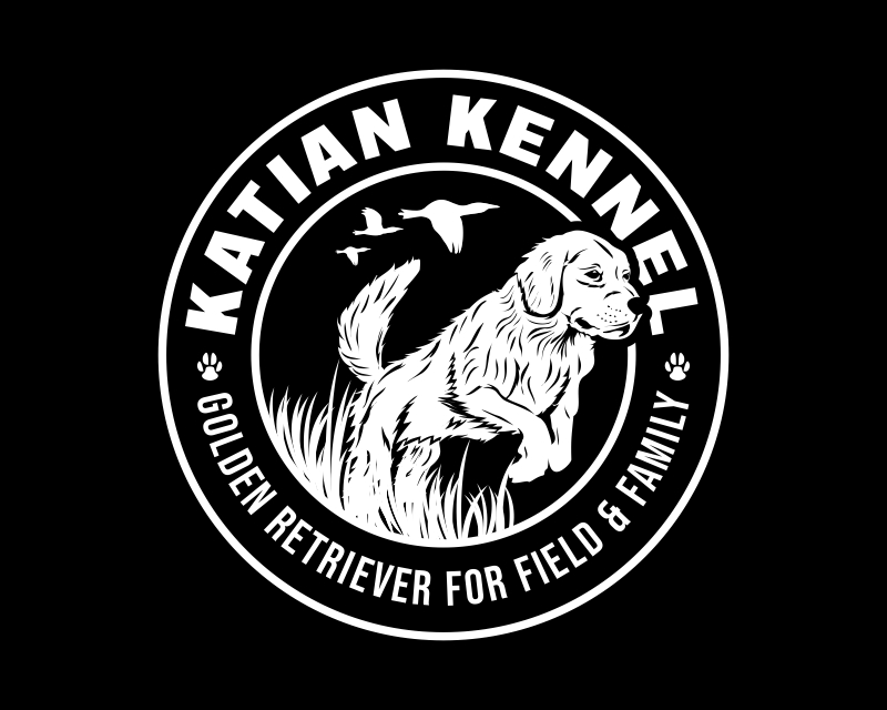 Logo Design entry 2664142 submitted by Armchtrm