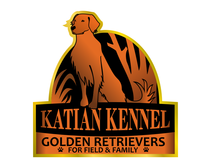 Logo Design entry 2656013 submitted by Kang okim